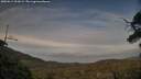 ./images/calvert/fitz-hugh-hecate/20250611/fitz-hugh-hecate20250611_201009M.jpg