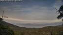 ./images/calvert/fitz-hugh-hecate/20250611/fitz-hugh-hecate20250611_202509M.jpg