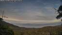 ./images/calvert/fitz-hugh-hecate/20250611/fitz-hugh-hecate20250611_203008M.jpg