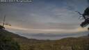 ./images/calvert/fitz-hugh-hecate/20250611/fitz-hugh-hecate20250611_203508M.jpg
