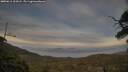 ./images/calvert/fitz-hugh-hecate/20250611/fitz-hugh-hecate20250611_205008M.jpg
