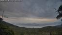 ./images/calvert/fitz-hugh-hecate/20250611/fitz-hugh-hecate20250611_214009M.jpg