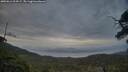 ./images/calvert/fitz-hugh-hecate/20250611/fitz-hugh-hecate20250611_214507M.jpg