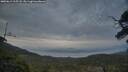 ./images/calvert/fitz-hugh-hecate/20250611/fitz-hugh-hecate20250611_215507M.jpg