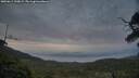 ./images/calvert/fitz-hugh-hecate/20250611/fitz-hugh-hecate20250611_220009M.jpg