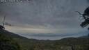 ./images/calvert/fitz-hugh-hecate/20250611/fitz-hugh-hecate20250611_220509M.jpg