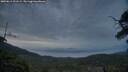 ./images/calvert/fitz-hugh-hecate/20250611/fitz-hugh-hecate20250611_221508M.jpg