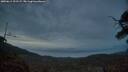 ./images/calvert/fitz-hugh-hecate/20250611/fitz-hugh-hecate20250611_222508M.jpg
