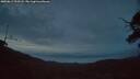 ./images/calvert/fitz-hugh-hecate/20250611/fitz-hugh-hecate20250611_223508M.jpg