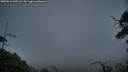 ./images/calvert/fitz-hugh-hecate/20250612/fitz-hugh-hecate20250612_045508M.jpg
