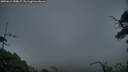./images/calvert/fitz-hugh-hecate/20250612/fitz-hugh-hecate20250612_050007M.jpg