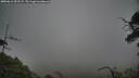 ./images/calvert/fitz-hugh-hecate/20250612/fitz-hugh-hecate20250612_052507M.jpg