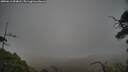 ./images/calvert/fitz-hugh-hecate/20250612/fitz-hugh-hecate20250612_054007M.jpg