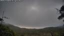 ./images/calvert/fitz-hugh-hecate/20250612/fitz-hugh-hecate20250612_060009M.jpg