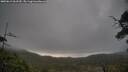 ./images/calvert/fitz-hugh-hecate/20250612/fitz-hugh-hecate20250612_062510M.jpg
