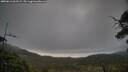 ./images/calvert/fitz-hugh-hecate/20250612/fitz-hugh-hecate20250612_063508M.jpg