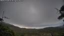 ./images/calvert/fitz-hugh-hecate/20250612/fitz-hugh-hecate20250612_064508M.jpg
