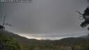 ./images/calvert/fitz-hugh-hecate/20250612/fitz-hugh-hecate20250612_065009M.jpg