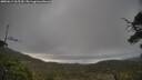 ./images/calvert/fitz-hugh-hecate/20250612/fitz-hugh-hecate20250612_065509M.jpg