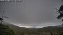 ./images/calvert/fitz-hugh-hecate/20250612/fitz-hugh-hecate20250612_070009M.jpg