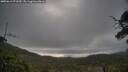 ./images/calvert/fitz-hugh-hecate/20250612/fitz-hugh-hecate20250612_071009M.jpg