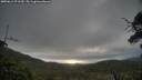 ./images/calvert/fitz-hugh-hecate/20250612/fitz-hugh-hecate20250612_071510M.jpg