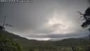 ./images/calvert/fitz-hugh-hecate/20250612/fitz-hugh-hecate20250612_072510M.jpg
