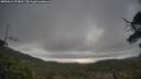 ./images/calvert/fitz-hugh-hecate/20250612/fitz-hugh-hecate20250612_074010M.jpg
