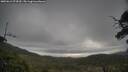 ./images/calvert/fitz-hugh-hecate/20250612/fitz-hugh-hecate20250612_074510M.jpg