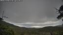 ./images/calvert/fitz-hugh-hecate/20250612/fitz-hugh-hecate20250612_075009M.jpg