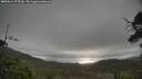 ./images/calvert/fitz-hugh-hecate/20250612/fitz-hugh-hecate20250612_075510M.jpg