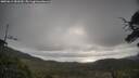 ./images/calvert/fitz-hugh-hecate/20250612/fitz-hugh-hecate20250612_081010M.jpg