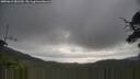 ./images/calvert/fitz-hugh-hecate/20250612/fitz-hugh-hecate20250612_081509M.jpg