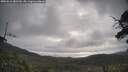./images/calvert/fitz-hugh-hecate/20250612/fitz-hugh-hecate20250612_082509M.jpg
