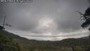 ./images/calvert/fitz-hugh-hecate/20250612/fitz-hugh-hecate20250612_083508M.jpg