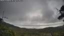 ./images/calvert/fitz-hugh-hecate/20250612/fitz-hugh-hecate20250612_084510M.jpg