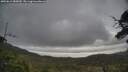 ./images/calvert/fitz-hugh-hecate/20250612/fitz-hugh-hecate20250612_085010M.jpg