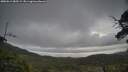 ./images/calvert/fitz-hugh-hecate/20250612/fitz-hugh-hecate20250612_085509M.jpg