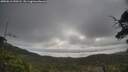 ./images/calvert/fitz-hugh-hecate/20250612/fitz-hugh-hecate20250612_090508M.jpg