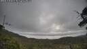 ./images/calvert/fitz-hugh-hecate/20250612/fitz-hugh-hecate20250612_091009M.jpg