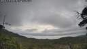 ./images/calvert/fitz-hugh-hecate/20250612/fitz-hugh-hecate20250612_091510M.jpg