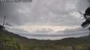 ./images/calvert/fitz-hugh-hecate/20250612/fitz-hugh-hecate20250612_092009M.jpg