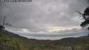 ./images/calvert/fitz-hugh-hecate/20250612/fitz-hugh-hecate20250612_092508M.jpg