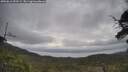 ./images/calvert/fitz-hugh-hecate/20250612/fitz-hugh-hecate20250612_093509M.jpg