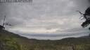 ./images/calvert/fitz-hugh-hecate/20250612/fitz-hugh-hecate20250612_094010M.jpg