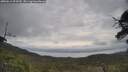 ./images/calvert/fitz-hugh-hecate/20250612/fitz-hugh-hecate20250612_094510M.jpg