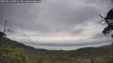 ./images/calvert/fitz-hugh-hecate/20250612/fitz-hugh-hecate20250612_095009M.jpg