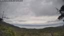 ./images/calvert/fitz-hugh-hecate/20250612/fitz-hugh-hecate20250612_095509M.jpg