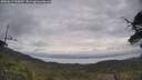 ./images/calvert/fitz-hugh-hecate/20250612/fitz-hugh-hecate20250612_100012M.jpg
