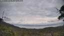 ./images/calvert/fitz-hugh-hecate/20250612/fitz-hugh-hecate20250612_100510M.jpg